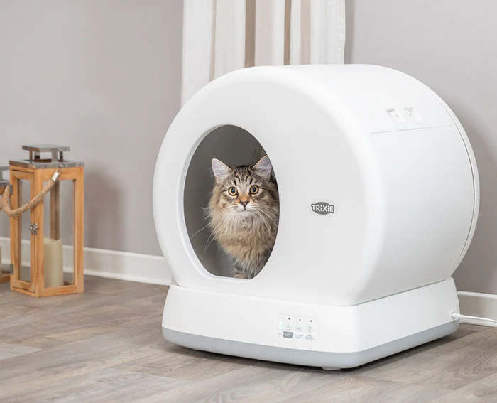 Trixie